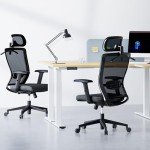 FLEXISPOT Ergonomic High Back Mesh Office Chair