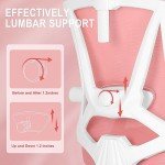 Comfortable Ergonomic Office Chair with Footrest
