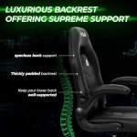 Ergonomic Gaming Chair with Lumbar Support and Swivel