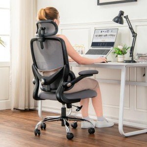 Ergonomic Mesh Office Chair with Lumbar Support