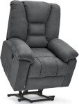 Esright Electric Lift Recliner with Massage & USB