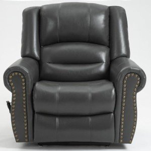 Trustyue Dual Motor Lift Chair with Massage & Heat
