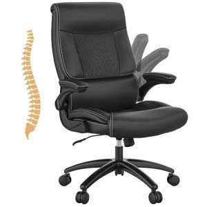 Big and Tall Ergonomic Desk Chair - 500 lbs Capacity