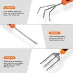 Durable Stainless Steel Gardening Tool Set with Tote