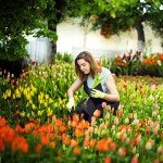 Portable 4-Tooth Garden Weeder Tool