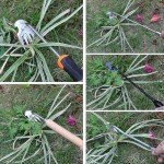 Ultimate Portable Weeding Tool for Active Gardens