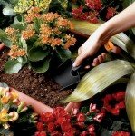 Fiskars Indoor Gardening Tool Set - 4 Pieces