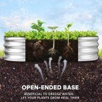 Galvanized Raised Garden Bed Planter Set of 2