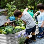 Galvanized Raised Garden Bed Planter Set of 2