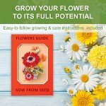 Indoor Daisy Garden Kit with Tools and Jute Bags