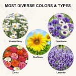 Indoor Daisy Garden Kit with Tools and Jute Bags