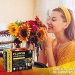 Indoor Daisy Garden Kit with Tools and Jute Bags