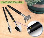 12-Piece Mini Succulent Tool Set for Garden Care
