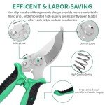 3-Pack Stainless Steel Pruning Shears for Gardening