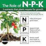 Miracle-Gro All-Purpose Watering Can Plant Food