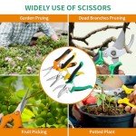 3-Pack Stainless Steel Pruning Shears for Gardening