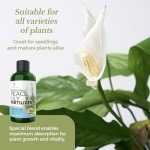 Liquid Peace Lily Plant Fertilizer - 8 oz