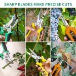 3-Pack Stainless Steel Pruning Shears for Gardening