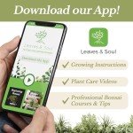 Liquid Peace Lily Plant Fertilizer - 8 oz