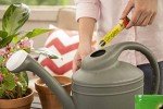 Miracle-Gro All-Purpose Watering Can Plant Food