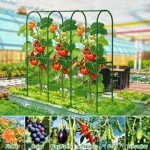 5.5Ft Tomato Cages with Grow Bags & Stakes
