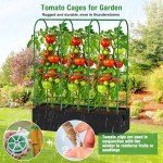 5.5Ft Tomato Cages with Grow Bags & Stakes