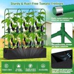 5.5Ft Tomato Cages with Grow Bags & Stakes