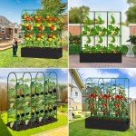 5.5Ft Tomato Cages with Grow Bags & Stakes