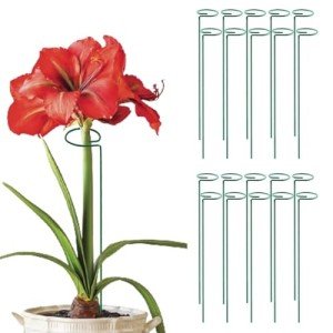 Green 36-Inch Single Stem Plant Support Stakes - 20 Pack