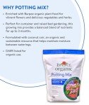 Organic Potting Soil Mix for Indoor/Outdoor Plants