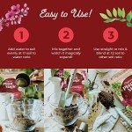 Organic Compressed Potting Soil for Indoor/Outdoor Plants