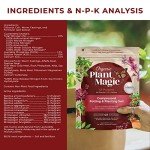 Organic Compressed Potting Soil for Indoor/Outdoor Plants