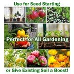 Wonder Soil Organic Potting Mix - 3 lbs