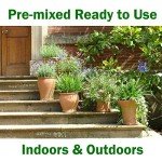 Wonder Soil Organic Potting Mix - 3 lbs