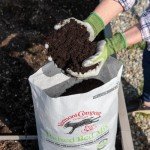 Vermont Raised Bed Mix for Organic Gardening - 20 Quarts