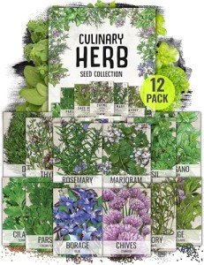 Culinary Herb Seeds Variety Pack for Home Gardening
