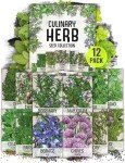 Culinary Herb Seeds Variety Pack for Home Gardening