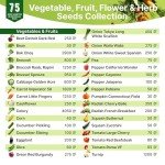 75 Herb & Vegetable Seeds Starter Kit Bundle