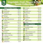 75 Herb & Vegetable Seeds Starter Kit Bundle