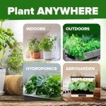 Home Grown 15 Culinary Herb Seeds – Non-GMO