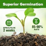 Home Grown 15 Culinary Herb Seeds – Non-GMO