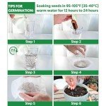 25 Heirloom Veggie & Herb Seed Collection Pack