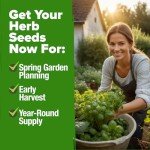 Home Grown 15 Culinary Herb Seeds – Non-GMO