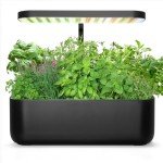 25 Heirloom Veggie & Herb Seed Collection Pack