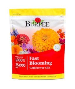 Fast Blooming Wildflower Seed Mix - 25,000 Seeds