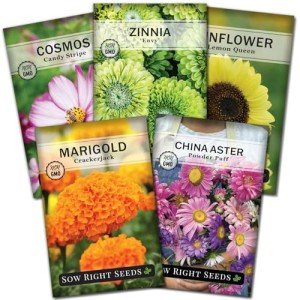 Flower Seed Variety Pack for Your Garden