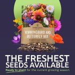 Butterfly & Hummingbird Wildflower Seed Mix - 7,500+