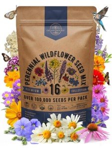 Perennial Wildflower Seeds Mix for Indoor & Outdoor