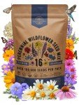 Perennial Wildflower Seeds Mix for Indoor & Outdoor
