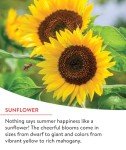 Fast Blooming Wildflower Seed Mix - 25,000 Seeds